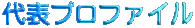 代表プロファイル
